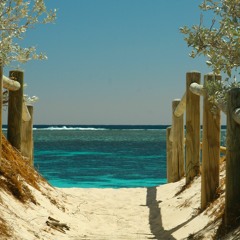 Kveon & Amanitu - Summer