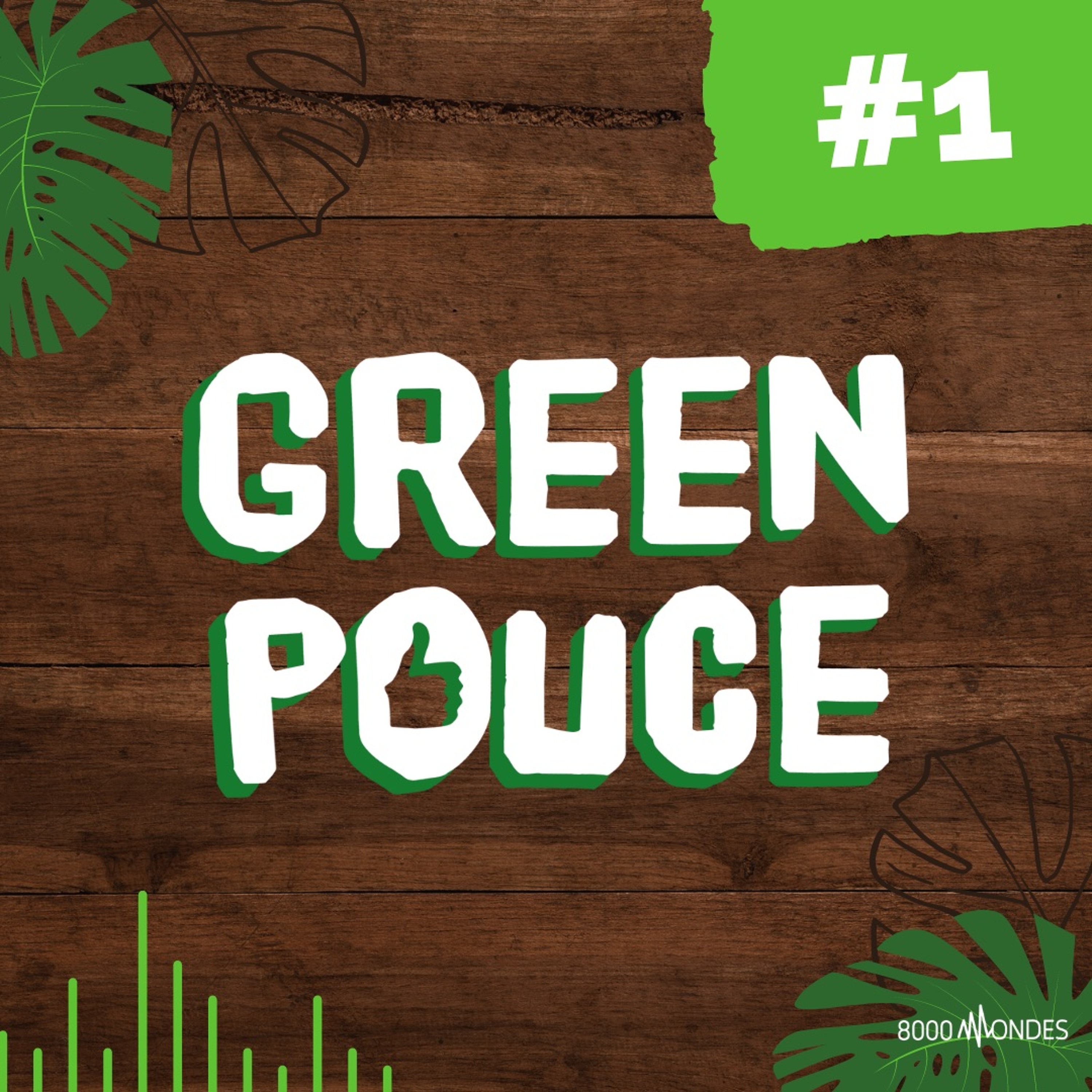 Greenpouce - Saison 1 - Episode 1 episode artwork
