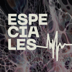 Especiales - DéJa Vú Sonoro. Sin Ruido interno, Segunda Edición