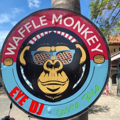 WAFFLE MONKEY