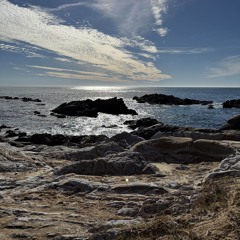 piece (ft.YxungTrilla)