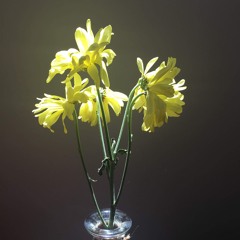 when all you feel is empty