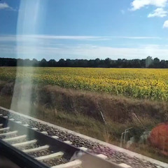 The Perfect Boyfriend