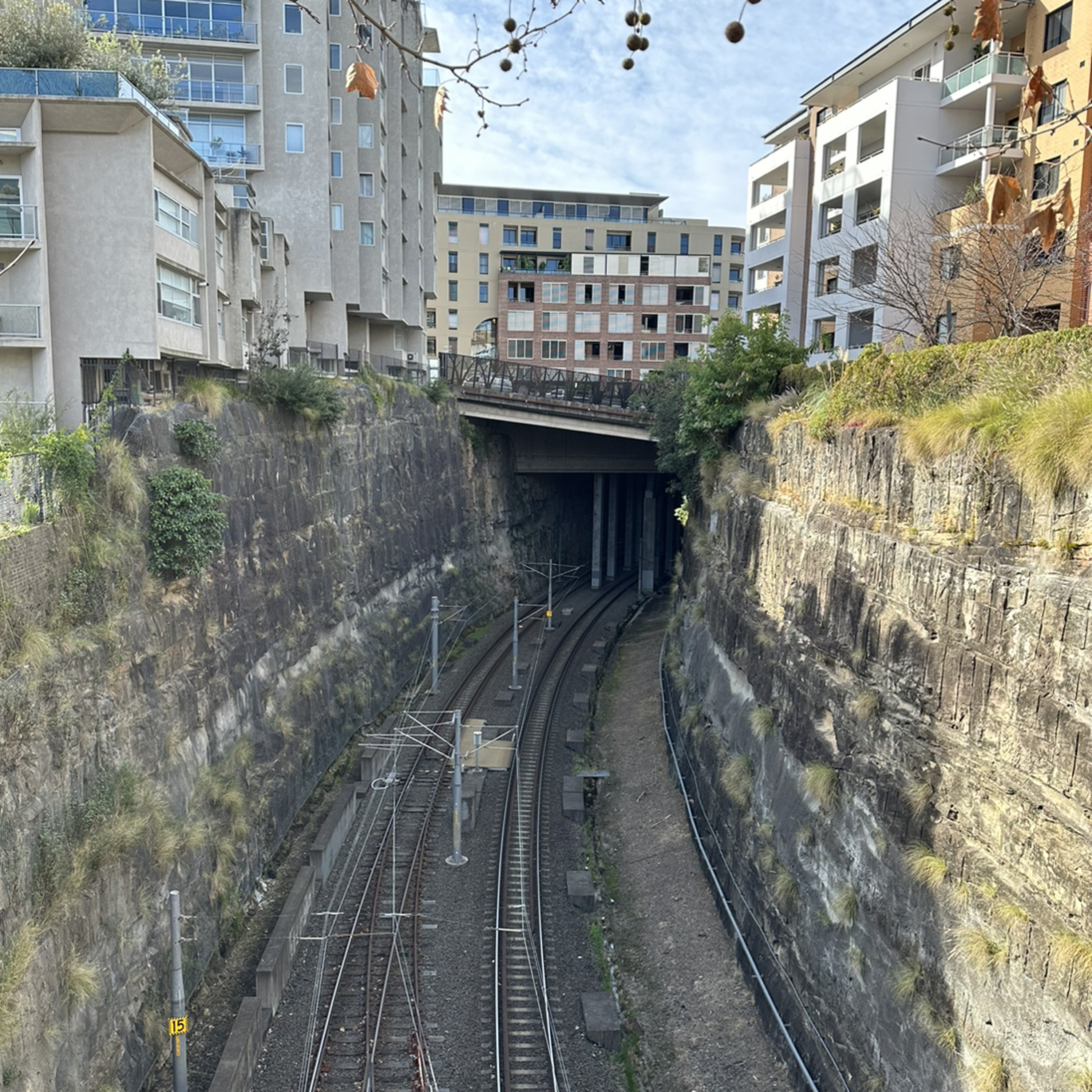 Urban Places Pyrmont Fieldwork 9 June 2023 episode artwork