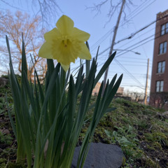 Can't waste my time w/ Nxrthstar