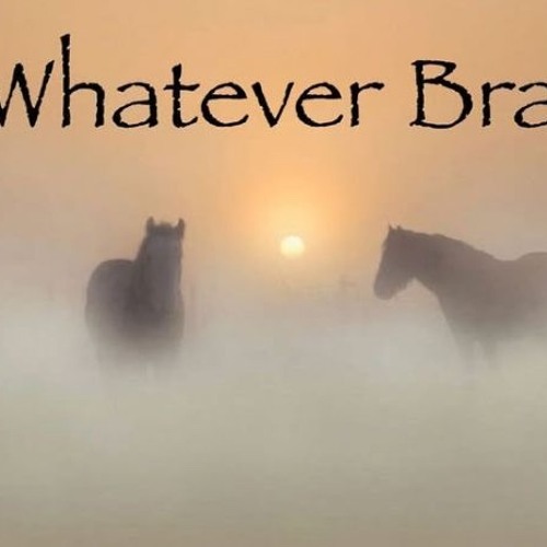 SunTan Prod. PtrckParker