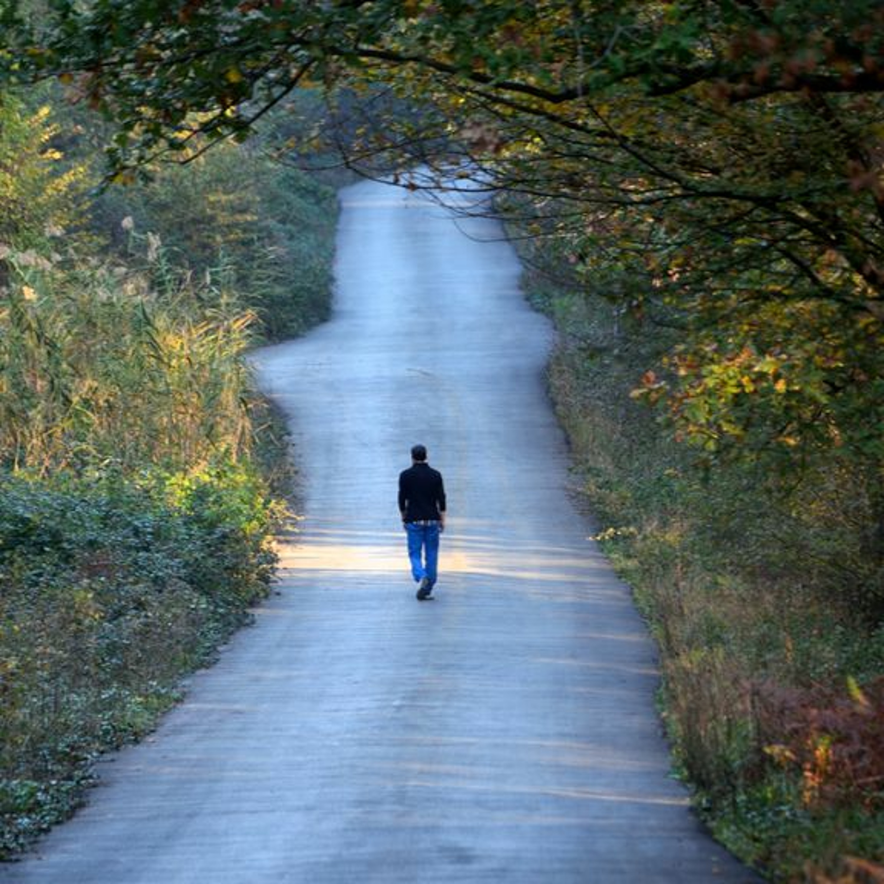 Holiness is Lonely thumbnail