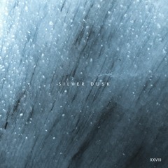 DHB Premiere: about : river - Silver Dusk [Nie Wieder Schlafen]