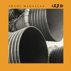 B1 Shadi Megallaa & Omar Fayyad - OPP (Other People's Perceptions)(Rhauder Dub)