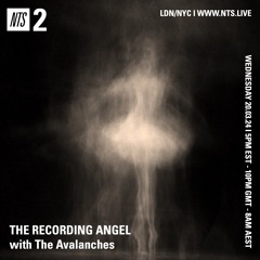 The Recording Angel on NTS - Episode 1 - The Avalanches - 20.03.24