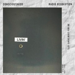 RR MIX LIVIN'VINYL-SET (CONSCIOUSNESS)