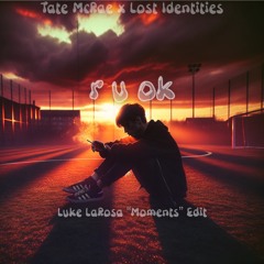 Tate McRae X Lost Identities - r u ok (Luke LaRosa "Moments" Edit)