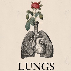 LUNGS