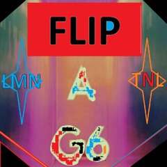 G6 - LMNTNL Flip