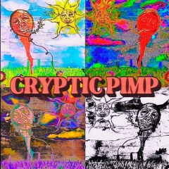 CRYPTIC PIMP