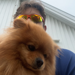 brå bass