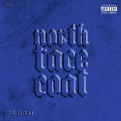 North Face Coat Produced By Alexandros Price