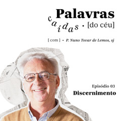 #3 Palavras caídas do céu - Discernimento