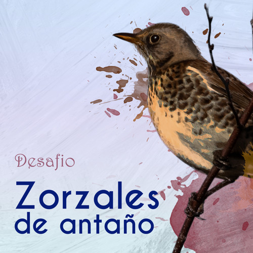 Zorzales de Antaño… Desafio