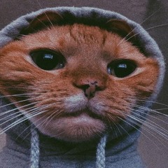 Autistic banger🔥🔥