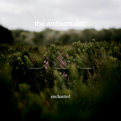The Ambientalist - Enchanted