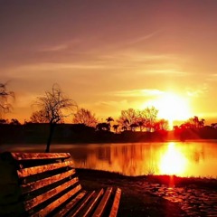 Reminiscence - Johannes Börnlof