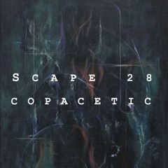 SCAPE 28: COPACETIC