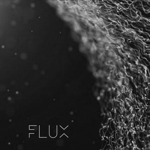 Flux 003