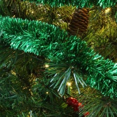 Christmas/Winter