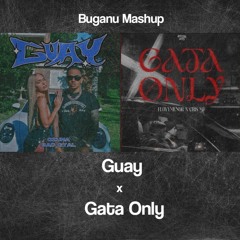 Guay x Gata Only [Ozuna, BadGyal x Cris MJ] 100BPM · Buganu Mashup Extended