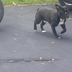 a reminder to forget