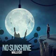 No Sunshine -  Wallu Edit