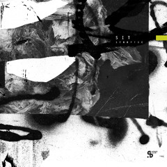 SIT - Multiplex Feat. Sublee (Sushitech)