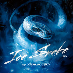 ICE SNAKE DJ ZHUKOVSKY 2025 MIX