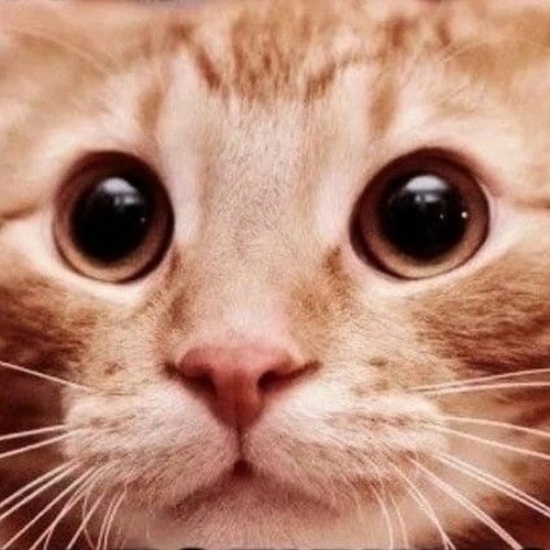 Stream ink street 101 - аддиктол.mp3 by Isaac | Listen online for free ...