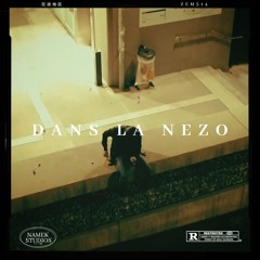 DANS LA NEZO