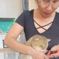 TRENDING VIDEO MEOXINK LỘ CLIP MEOXINK CLIP MEOXINH MÈO XINH 2006⬇️