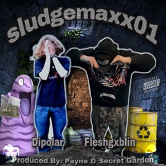 sludgemaxx01 (ft. Dipolar) [prod. Secret Garden]