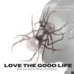 Love Life (Doja Cat) x Good Life (Kanye West) AG Mashup