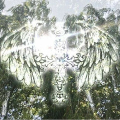 dispatch +latif (courrt +anaviluxx)