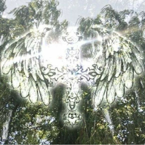 dispatch +latif (courrt +anaviluxx)