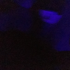 Naomi Sharon Another Life - (VVKRemix)