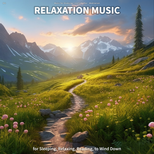 #01 Relaxation Music for Sleeping, Relaxing, Reading, to Wind Down