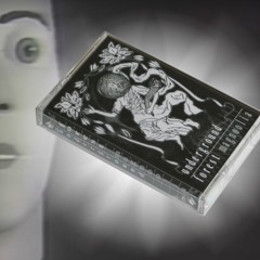 Underground Forest - Magnoolia (2019) [cassette rip]