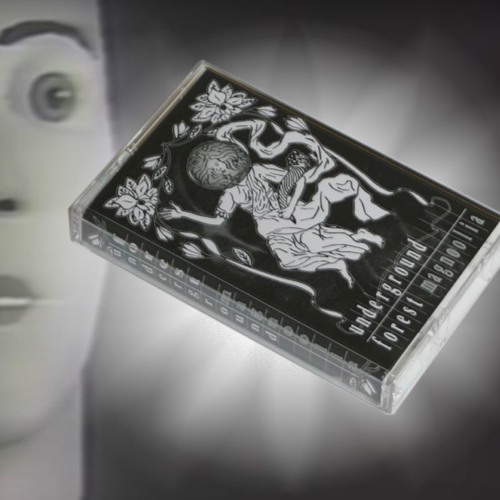 Underground Forest - Magnoolia (2019) [cassette rip]