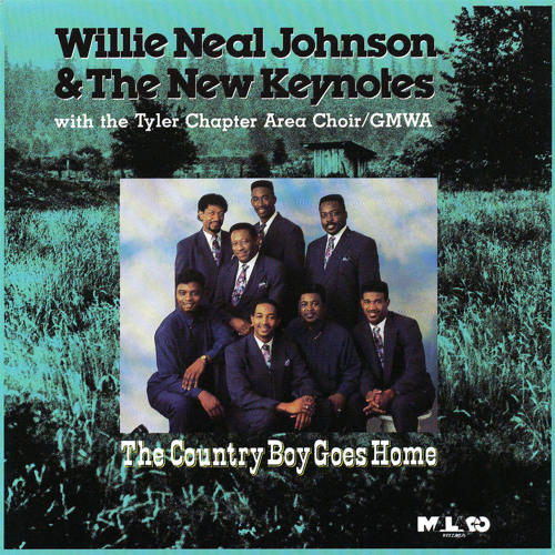 Stream Willie Neal Johnson Listen to The Country Boy Goes Home
