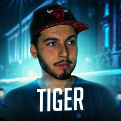 MEGA FUNK TIGER - DJ DUCIFER SC