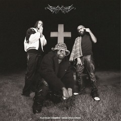 Flatbush Zombies - MRAZ (FRAXURED)