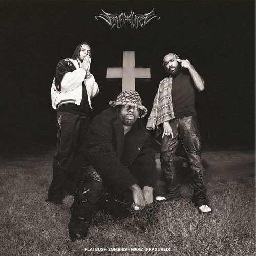 Flatbush Zombies - MRAZ (FRAXURED)