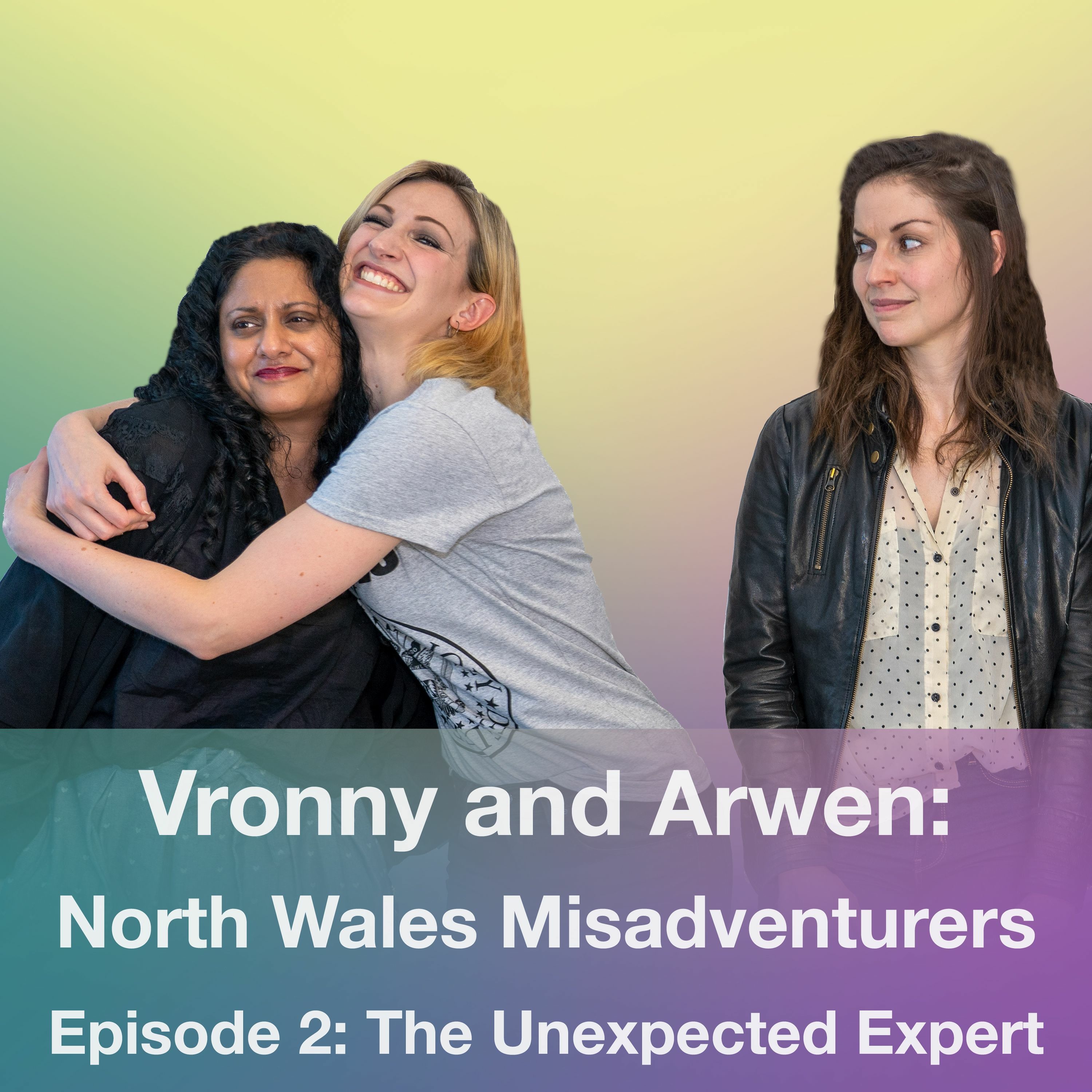 The Unexpected Expert episode artwork